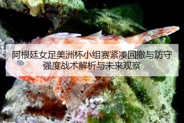 阿根廷女足美洲杯小组赛紧凑回撤与防守强度战术解析与未来观察