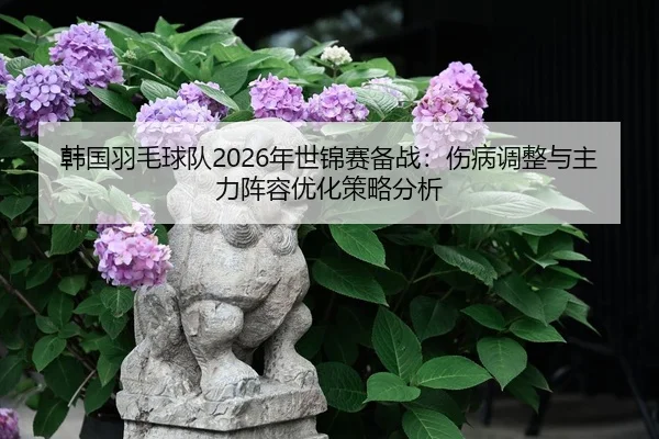 han-guo-yu-mao-qiu-dui-nian-shi-jin-sai-bei-zhan-shang-bing-tiao-zheng-yu-zhu-li-zhen-rong-you-hua-ce-lve-fen-xi-2-801.jpg